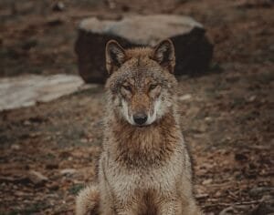 A beautiful day – with a twist