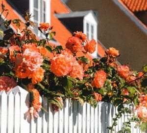 How do I start to develop healthy limits?