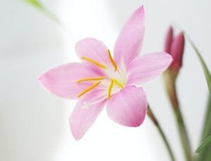 Why self-confidence is important