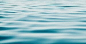 How self-observation works